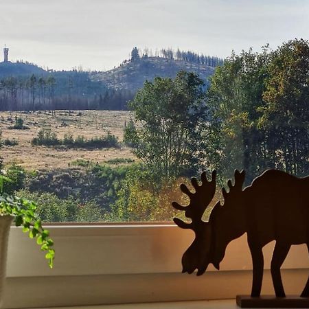Ferienwohnungen Hexenstieg & Wurmbergblick Schierke Esterno foto