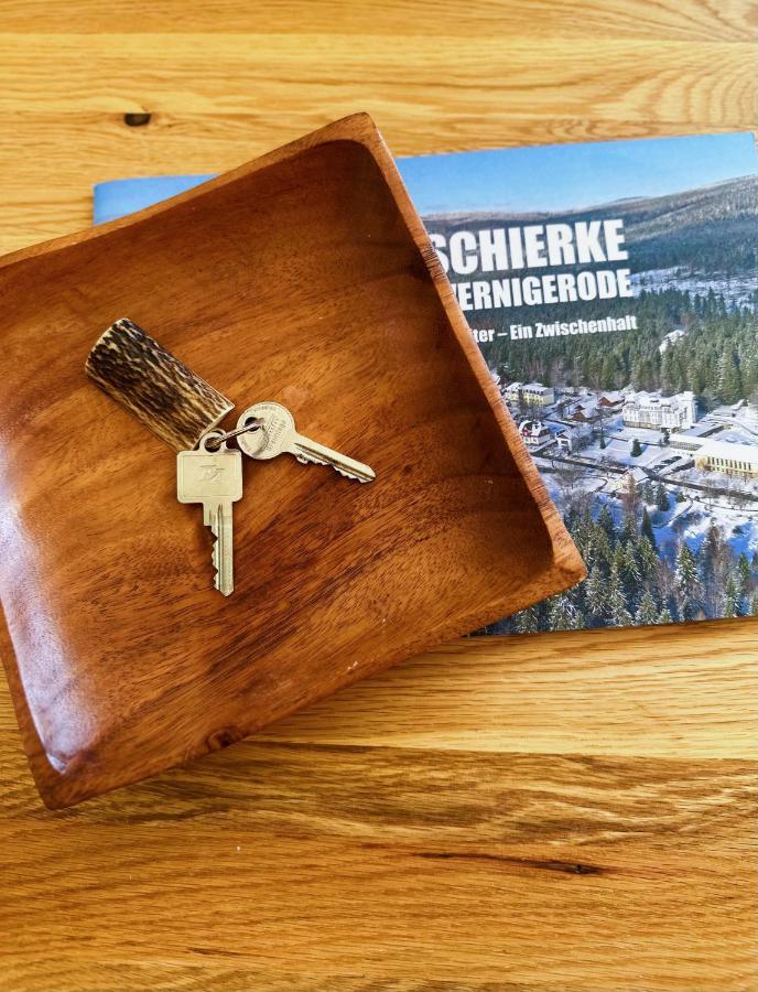 Ferienwohnungen Hexenstieg & Wurmbergblick Schierke Esterno foto