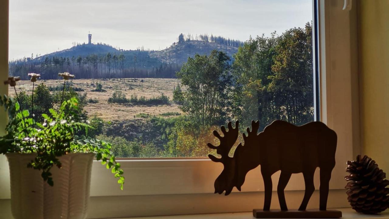 Ferienwohnungen Hexenstieg & Wurmbergblick Schierke Esterno foto
